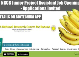 NRCB Junior Project Assistant Job