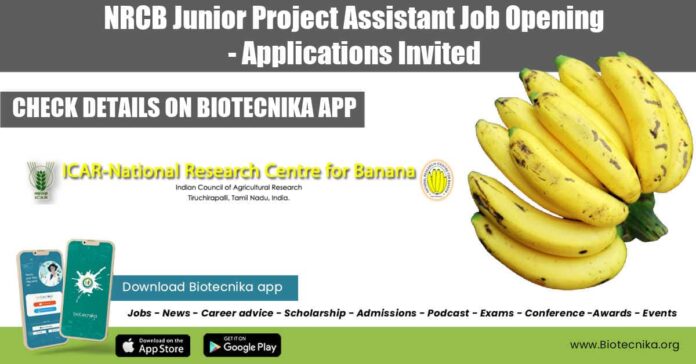NRCB Junior Project Assistant Job