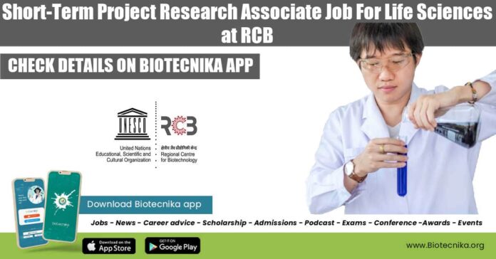RCB Jobs 2022