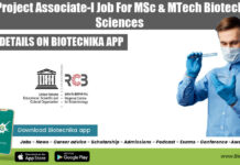 RCB Project Associate-I Job