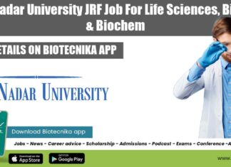 SNU JRF Job Opening