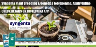 Syngenta Plant Breeding