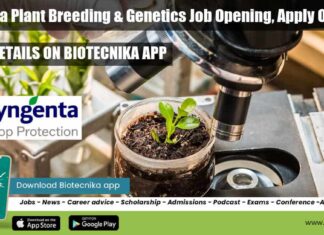 Syngenta Plant Breeding