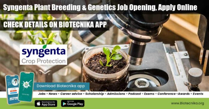 Syngenta Plant Breeding