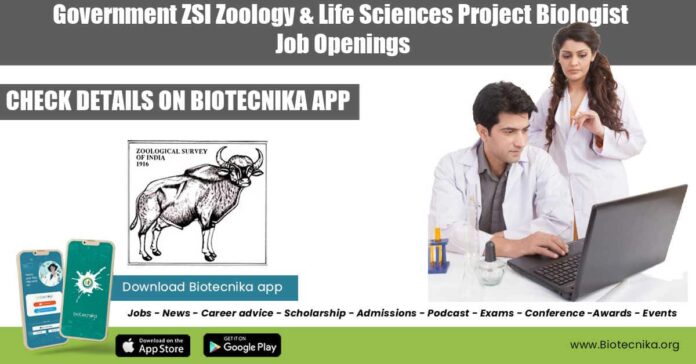 ZSI Job Vacancies