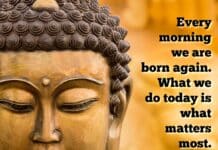 Biotecnika Times Newsletter 11.03.2022 FSSAI 2022 Exam, CSIR-CCMB Summer Training