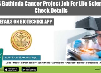 AIIMS Bathinda Project Job