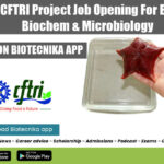 CSIR-CFTRI Project Job Opening