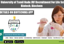 CUTN JRF Job Opening
