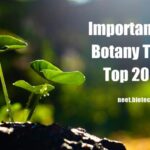 Important NEET Botany Topics