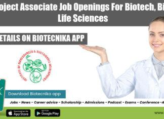 IBSD Project Associate Job