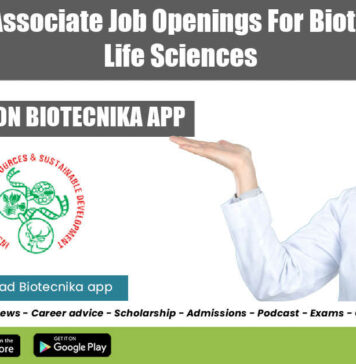 IBSD Project Associate Job