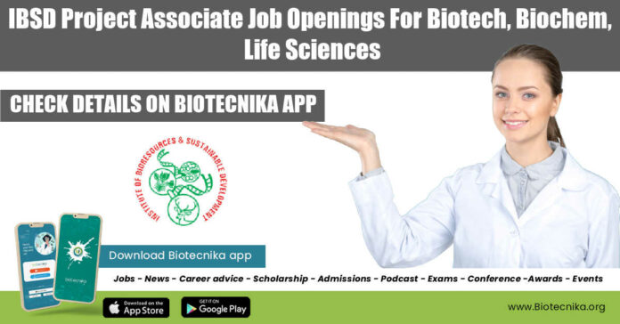 IBSD Project Associate Job
