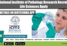 ICMR-National Institute of Pathology Research Recruitment, Life Sciences Apply ICMR-NIP Research Job