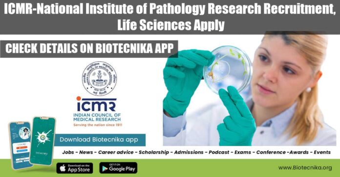ICMR-NIP Research Job