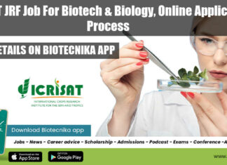 ICRISAT JRF Job