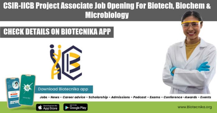 IICB Job Opening 2022