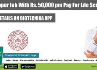 IIT Kanpur Job