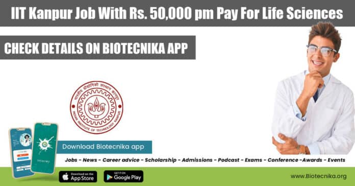 IIT Kanpur Job