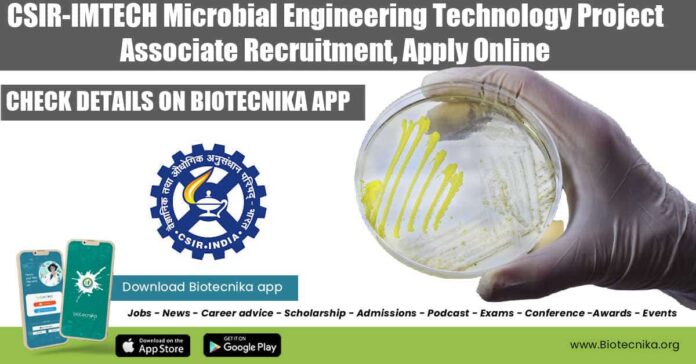 IMTECH Job Opening 2022