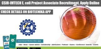 IMTECH Job Vacancy 2022