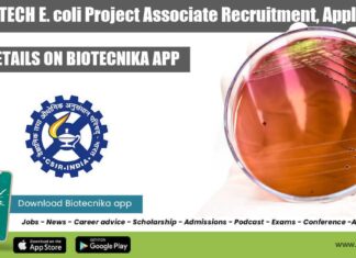 IMTECH Job Vacancy 2022