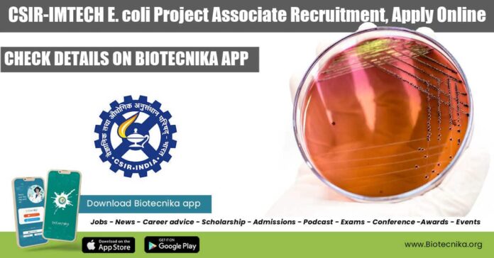 IMTECH Job Vacancy 2022