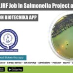 Life Sciences JRF Job