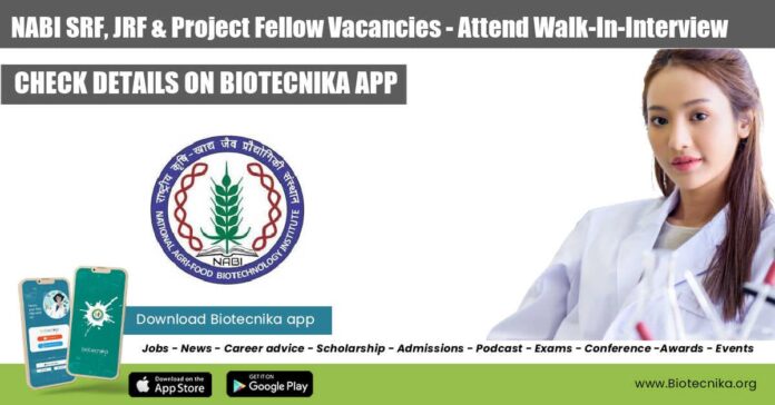 NABI Project Vacancies Available