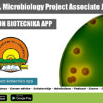 NEHU Project Associate Job