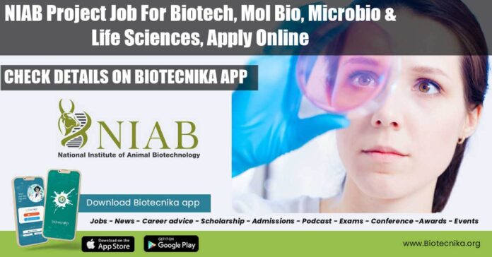 NIAB Vacancy 2022