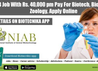 NIAB Vacancy 2022 For