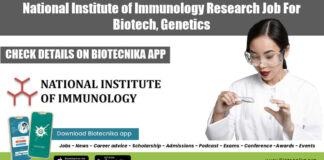 NII Job For PhD