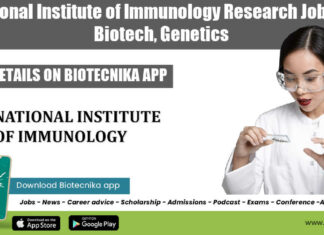 NII Job For PhD
