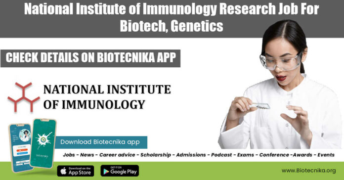 NII Job For PhD