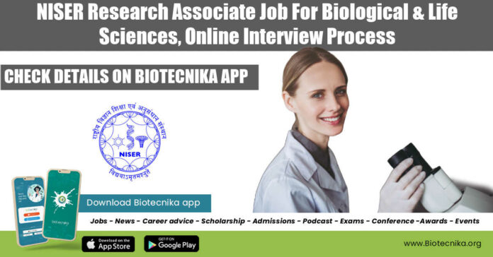 NISER Research Associate Job