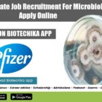 Pfizer Associate Job Recruitment