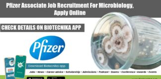 Pfizer Associate Job Recruitment