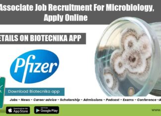 Pfizer Associate Job Recruitment