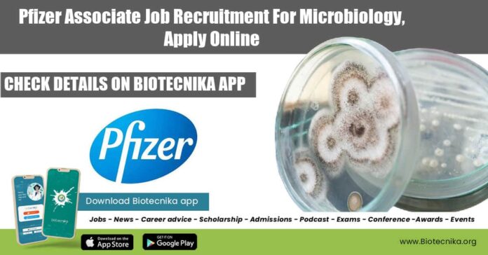 Pfizer Associate Job Recruitment