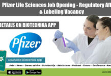 Pfizer Life Sciences Job Opening – Regulatory Affairs & Labeling Vacancy Pfizer Job Opening 2022