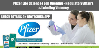 Pfizer Job Opening 2022