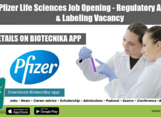 Pfizer Job Opening 2022