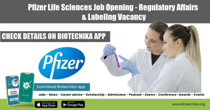 Pfizer Job Opening 2022