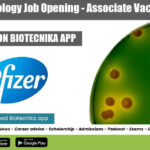 Pfizer Microbiology Job Opening