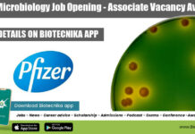 Pfizer Microbiology Job Opening – Associate Vacancy Available Pfizer Microbiology Job Opening