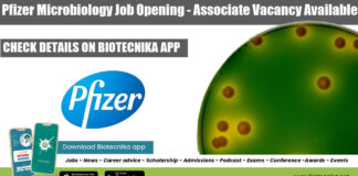 Pfizer Microbiology Job Opening