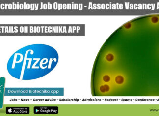 Pfizer Microbiology Job Opening