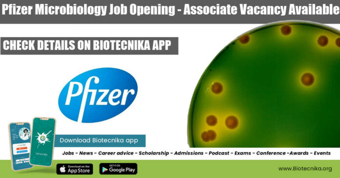 Pfizer Microbiology Job Opening