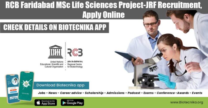 Project Job at RCB